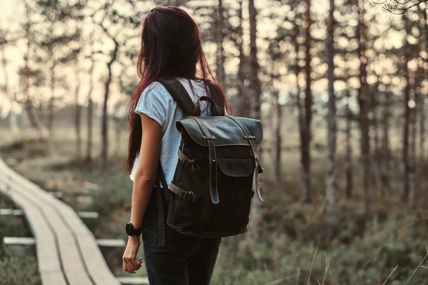 Rear view of a female tourist with a backpack walking on a wooden footpath in a beautiful forest.